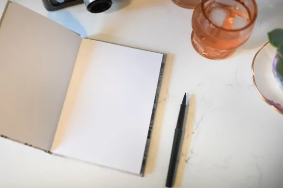 تورتوغا كازينو الدعم